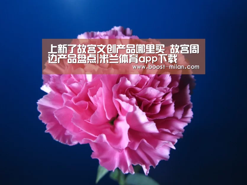 上新了故宫文创产品哪里买 故宫周边产品盘点|米兰体育app下载(图4) MILANSPORT入口
